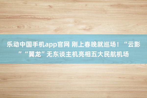 乐动中国手机app官网 刚上春晚就巡场！“云影”“翼龙”无东谈主机亮相五大民航机场