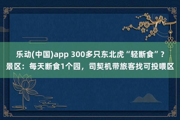 乐动(中国)app 300多只东北虎“轻断食”？景区：每天断食1个园，司契机带旅客找可投喂区