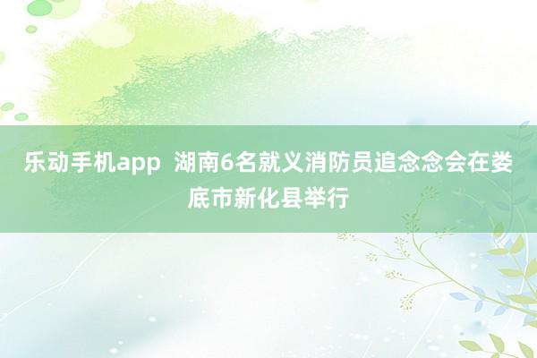 乐动手机app  湖南6名就义消防员追念念会在娄底市新化县举行
