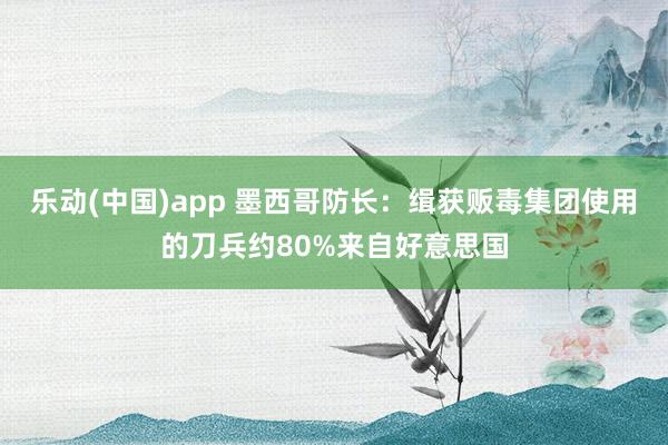 乐动(中国)app 墨西哥防长：缉获贩毒集团使用的刀兵约80%来自好意思国