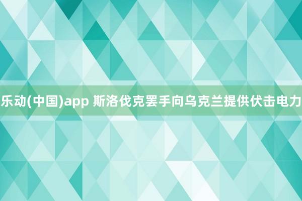 乐动(中国)app 斯洛伐克罢手向乌克兰提供伏击电力