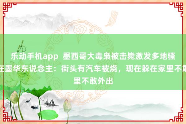 乐动手机app  墨西哥大毒枭被击毙激发多地骚乱，在墨华东说念主：街头有汽车被烧，现在躲在家里不敢外出