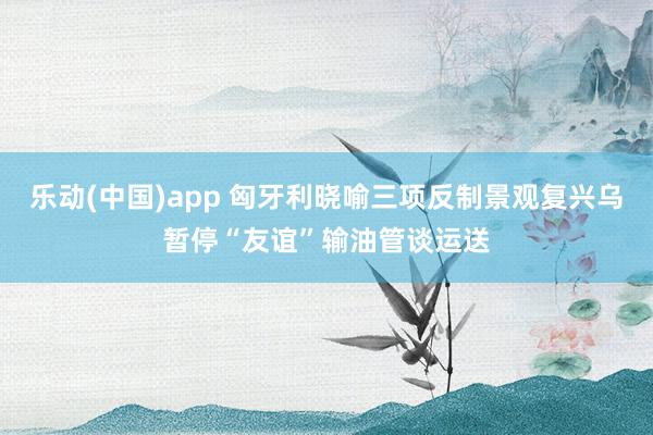 乐动(中国)app 匈牙利晓喻三项反制景观复兴乌暂停“友谊”输油管谈运送