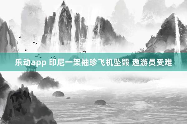 乐动app 印尼一架袖珍飞机坠毁 遨游员受难