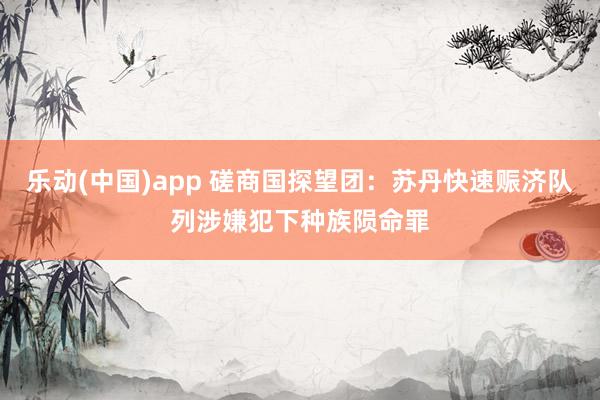 乐动(中国)app 磋商国探望团：苏丹快速赈济队列涉嫌犯下种族陨命罪