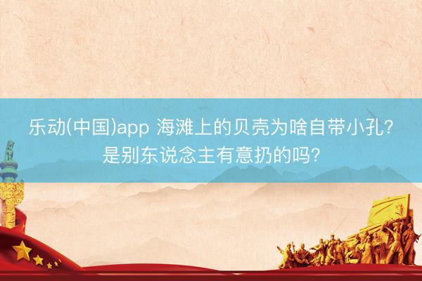 乐动(中国)app 海滩上的贝壳为啥自带小孔？是别东说念主有意扔的吗？