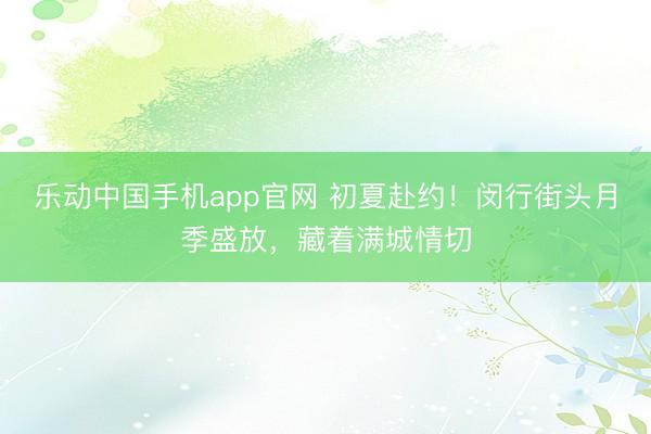 乐动中国手机app官网 初夏赴约！闵行街头月季盛放，藏着满城情切