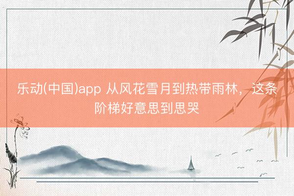 乐动(中国)app 从风花雪月到热带雨林，这条阶梯好意思到思哭