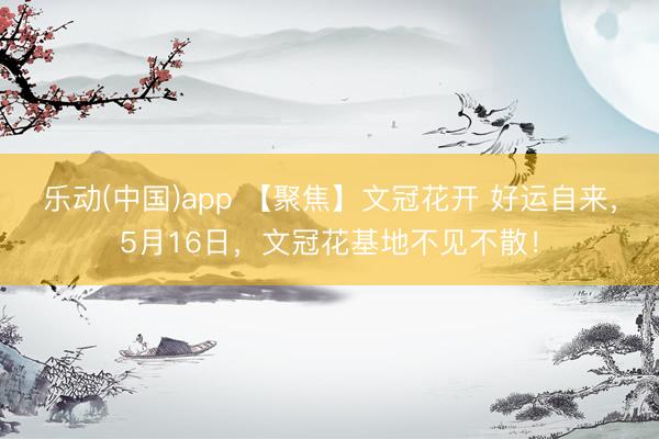 乐动(中国)app 【聚焦】文冠花开 好运自来，5月16日，文冠花基地不见不散！