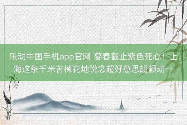 乐动中国手机app官网 暮春截止紫色死心！上海这条千米苦楝花地说念超好意思超颤动→
