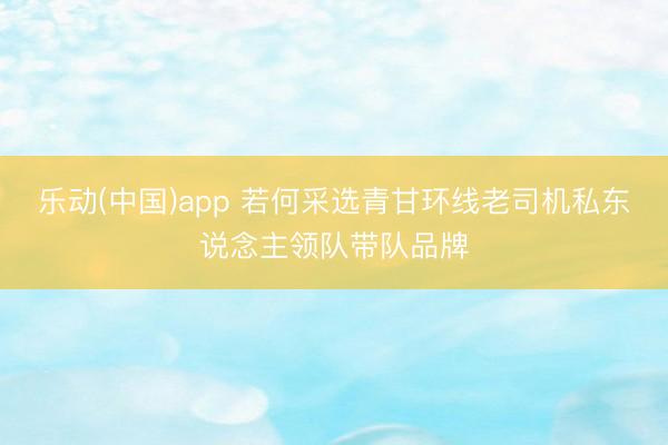 乐动(中国)app 若何采选青甘环线老司机私东说念主领队带队品牌