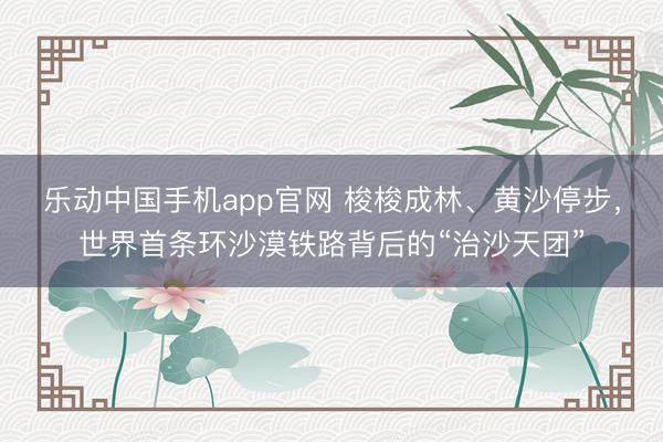 乐动中国手机app官网 梭梭成林、黄沙停步，世界首条环沙漠铁路背后的“治沙天团”