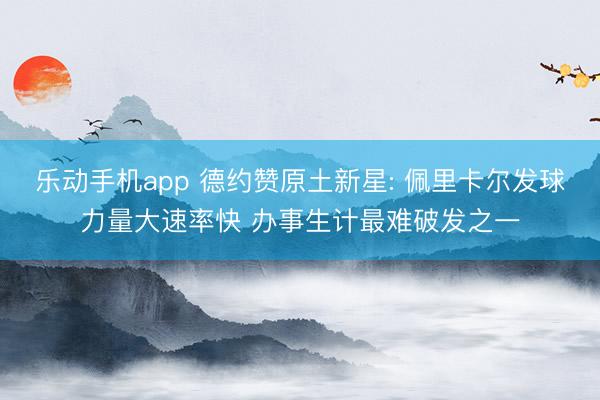 乐动手机app 德约赞原土新星: 佩里卡尔发球力量大速率快 办事生计最难破发之一
