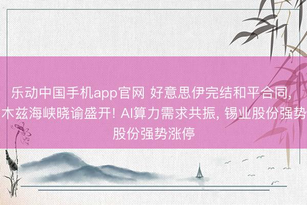 乐动中国手机app官网 好意思伊完结和平合同， 霍尔木兹海峡晓谕盛开! AI算力需求共振， 锡业股份强势涨停