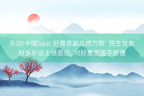 乐动(中国)app 好意思副总统万斯: 民主党有好多东谈主很恶运， 对好意思国不感德